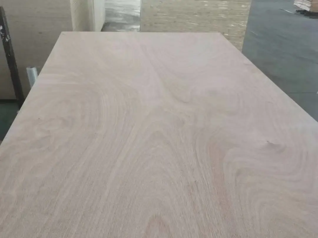 China Commercial Plywood used for furniture, decoration and packing (1)5lgu