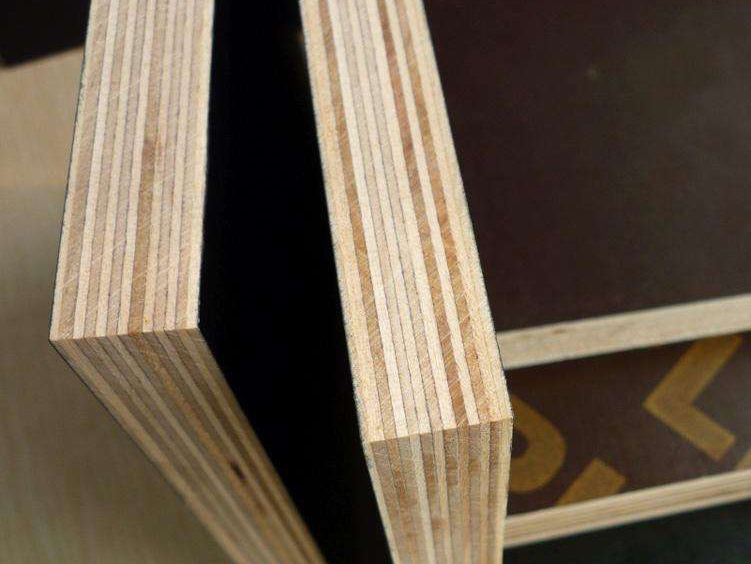 FILM FACED PLYWOOD (2).jpg