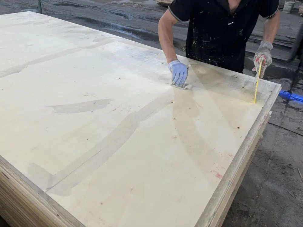 assembling (9)186