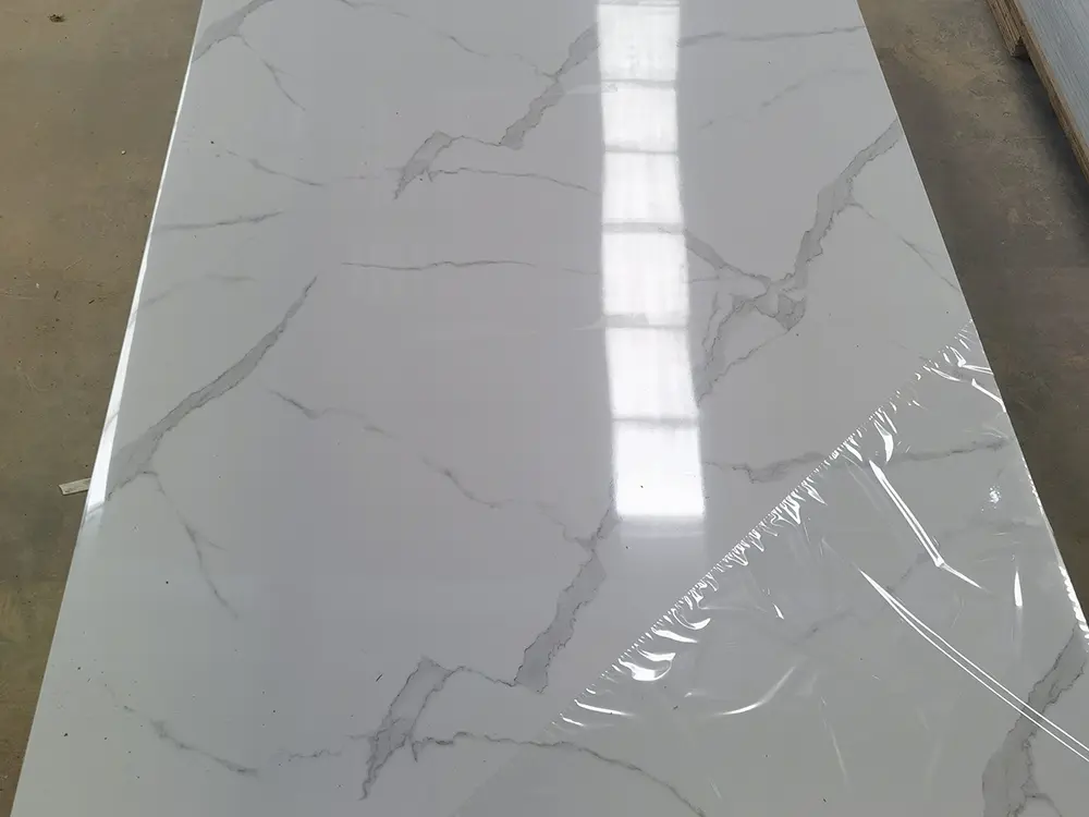 PVC  (2).jpg