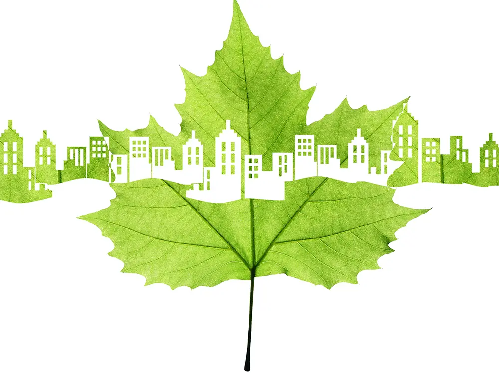 Why choose plywood as the raw material for furniture manufacturing?