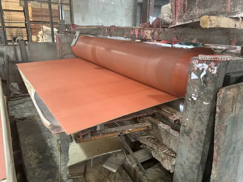 Product Display (12)xt3